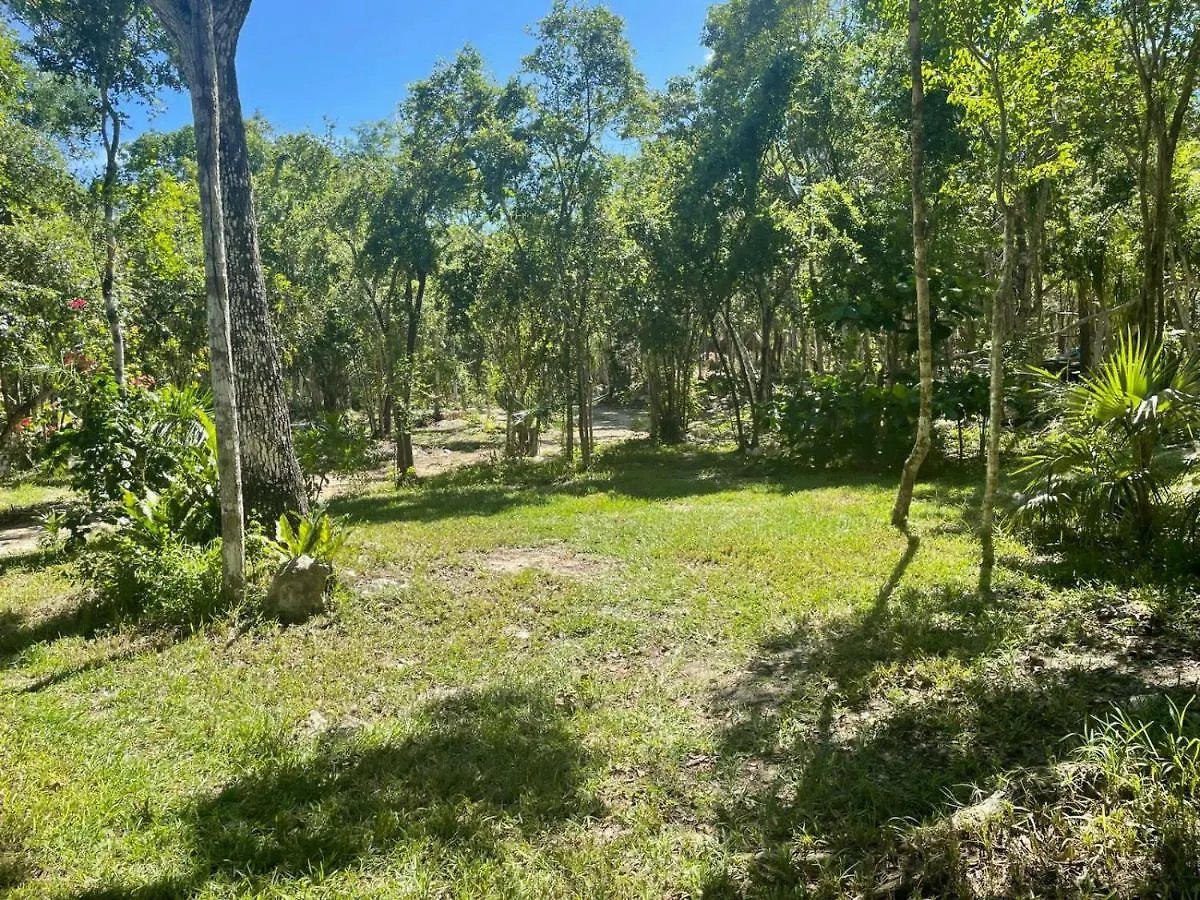 Glamping Bunga Lotus Hotel Tulum Campsite