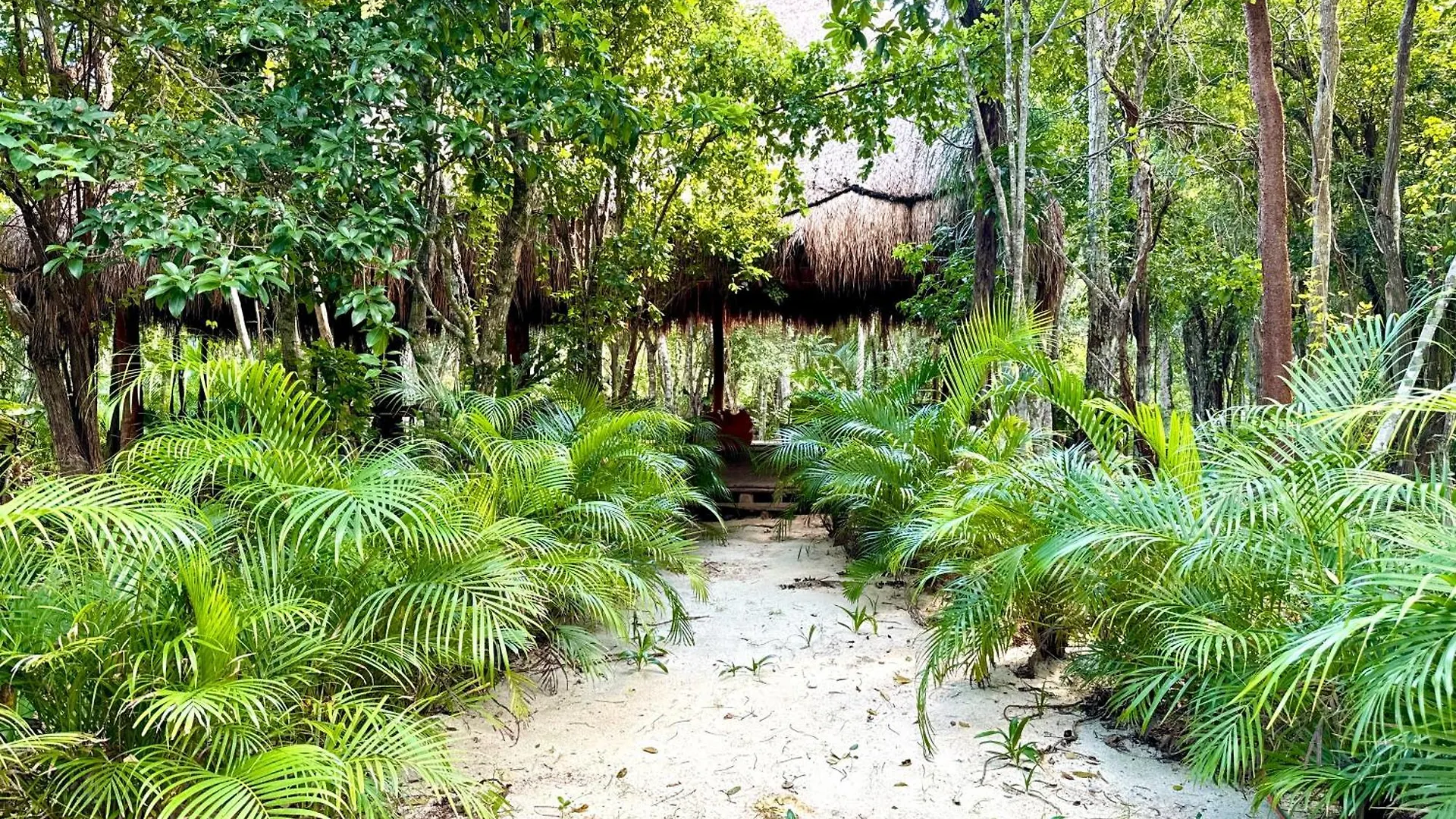 Campsite Glamping Bunga Lotus Hotel Tulum