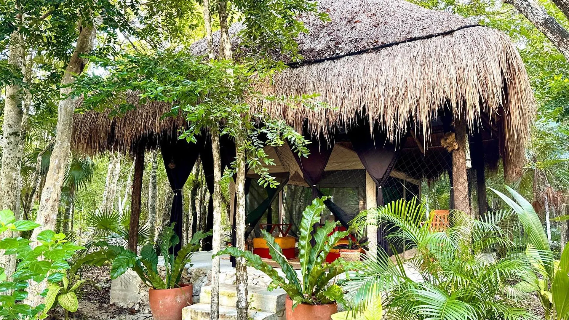 Campsite Glamping Bunga Lotus Hotel Tulum Mexico
