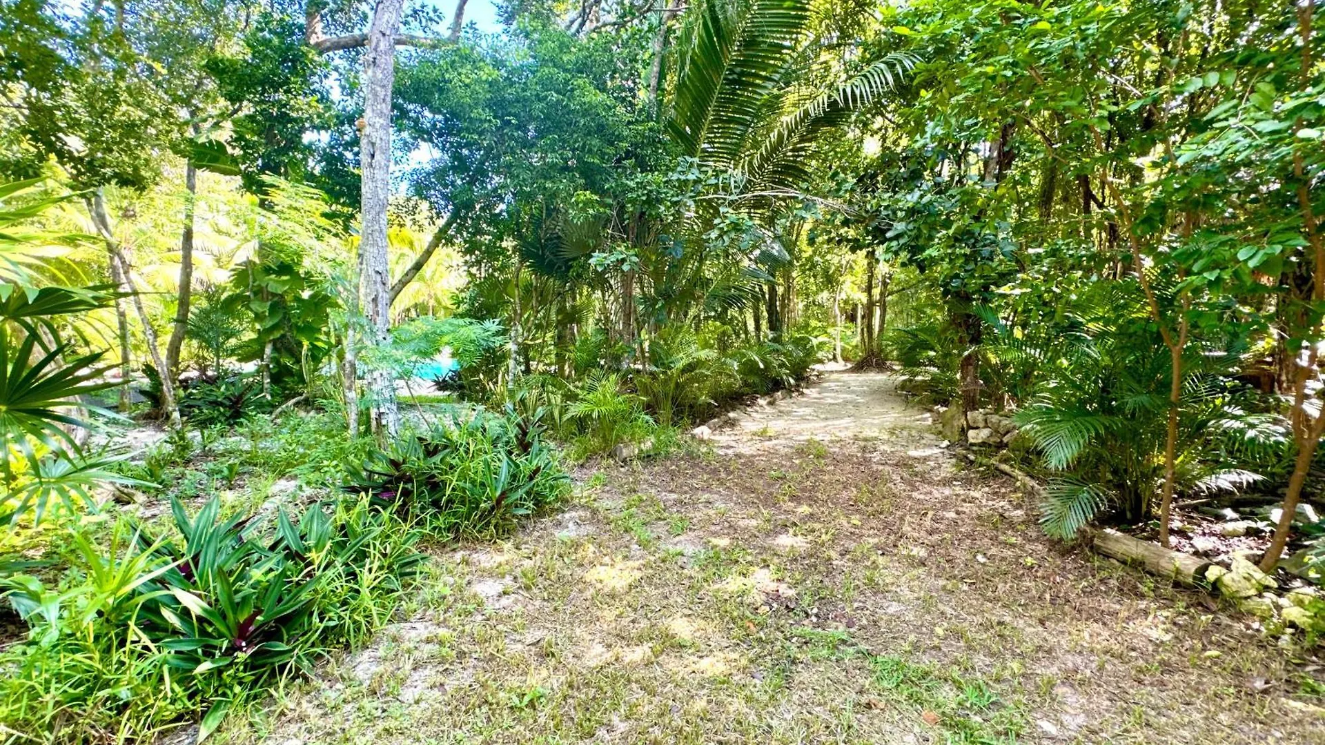 Glamping Bunga Lotus Hotel Tulum Campsite