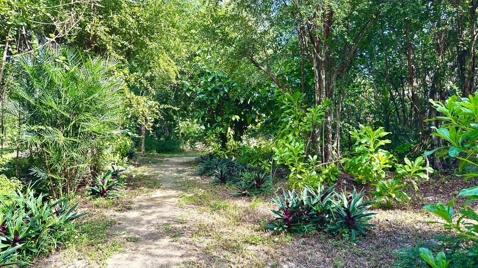 Campsite Glamping Bunga Lotus Hotel Tulum