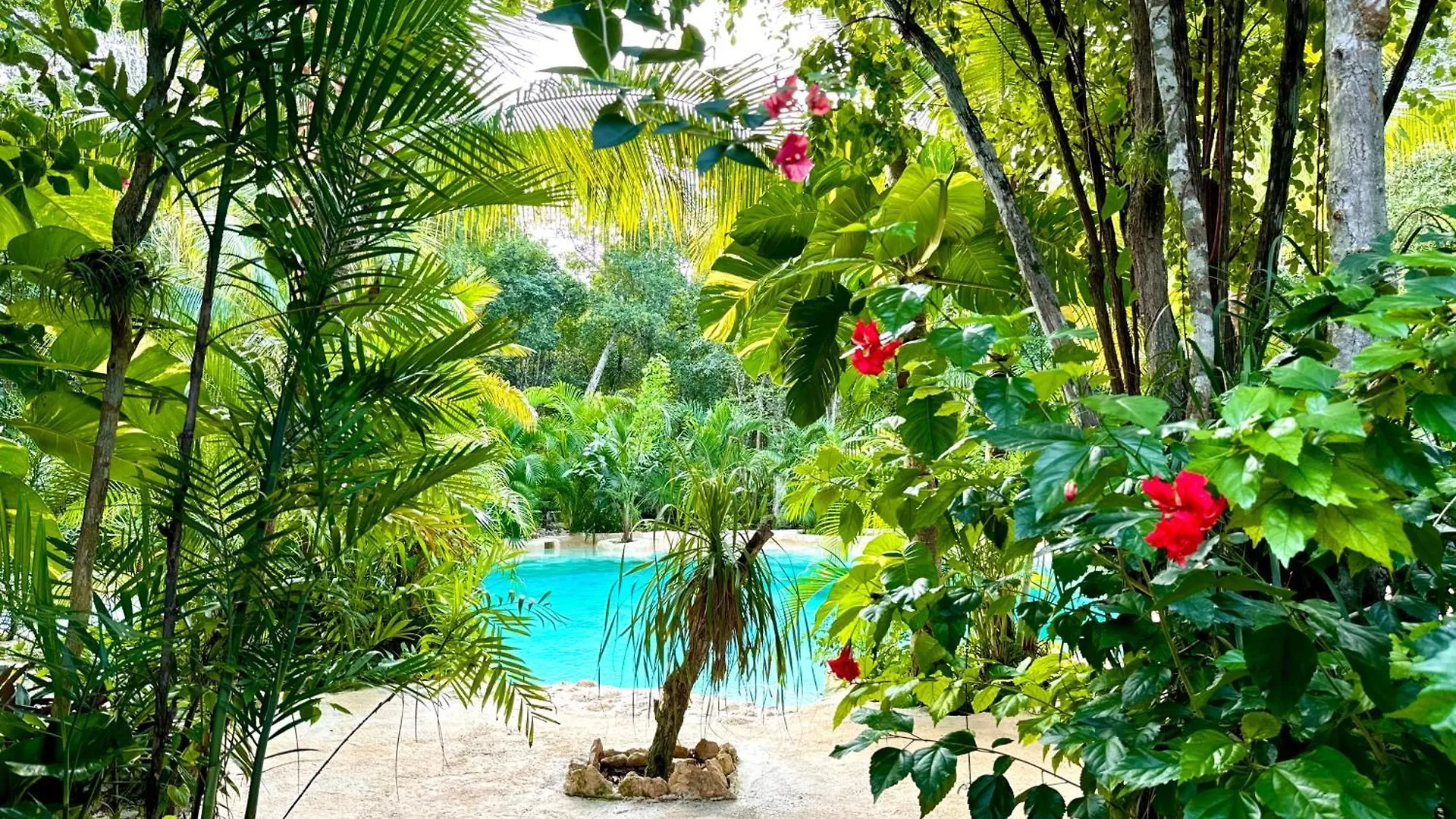 Campeggio Hotel Glamping Bunga Lotus Tulum