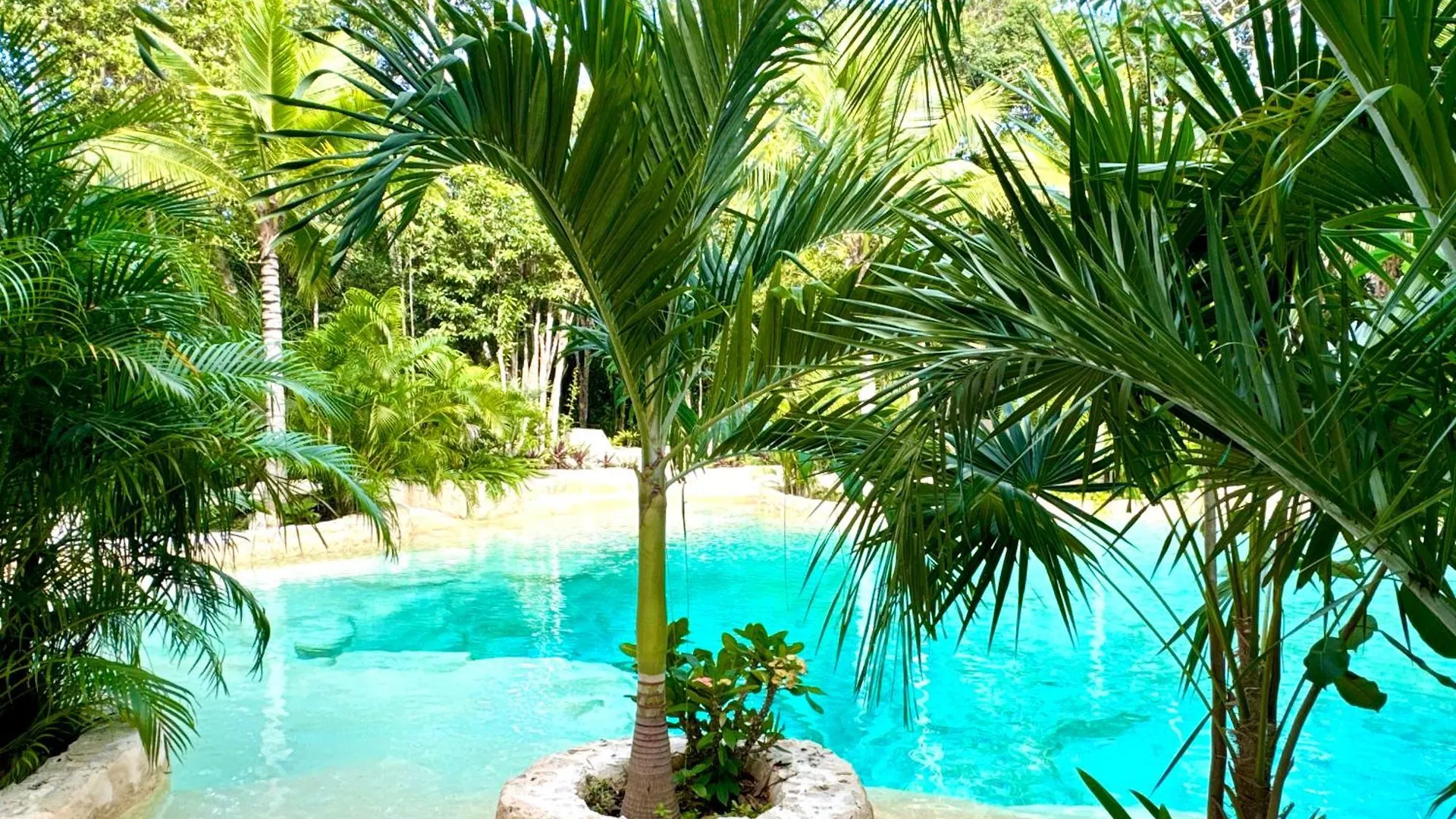 Hotel Glamping Bunga Lotus Tulum